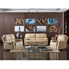 Electric Recliner Sofa USA L&P Mechanism Sofa Down Sofa (C743#)